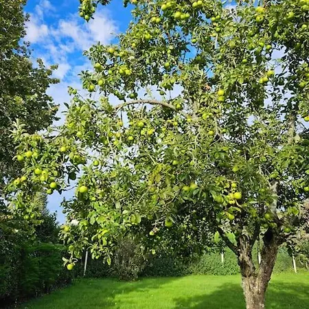 La Maison Des Saveurs Casa de Férias *