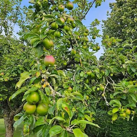 La Maison Des Saveurs Trouville-sur-Mer