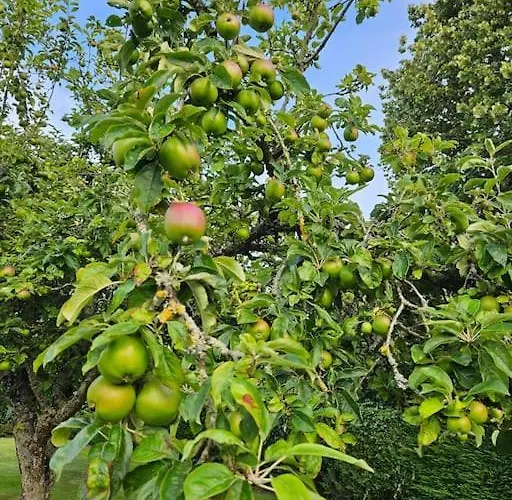 La Maison Des Saveurs Trouville-sur-Mer