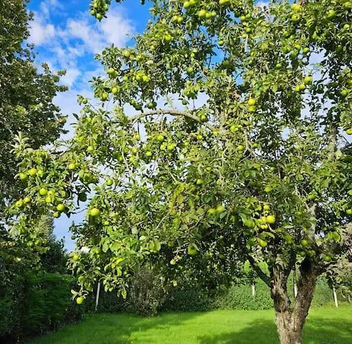 La Maison Des Saveurs Hébergement de vacances *