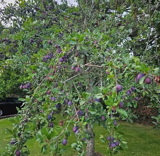Hébergement de vacances La Maison Des Saveurs
